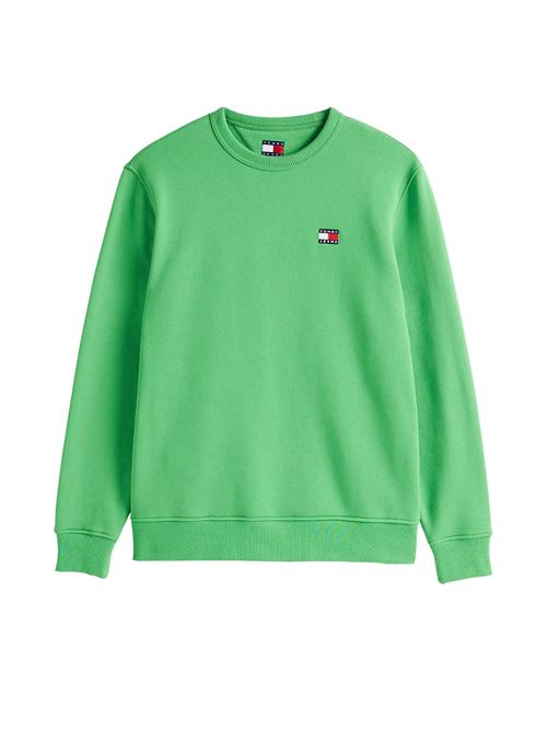 Felpa verde in spugna di cotone Tommy Jeans | DM0DM20660LY3